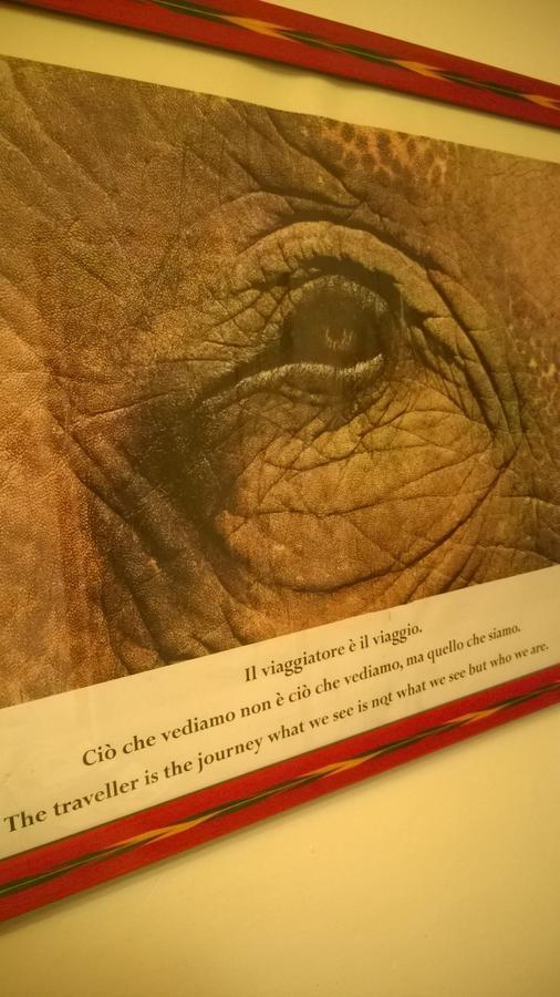 Leonardo'S Rooms ปอนตาสซิเอเว ภายนอก รูปภาพ